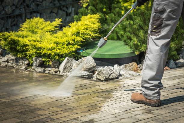 Best Residential Exterior Washing  in Felton, DE
