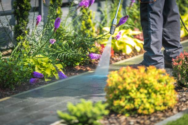 Animal Enclosure Cleaning in Felton, DE