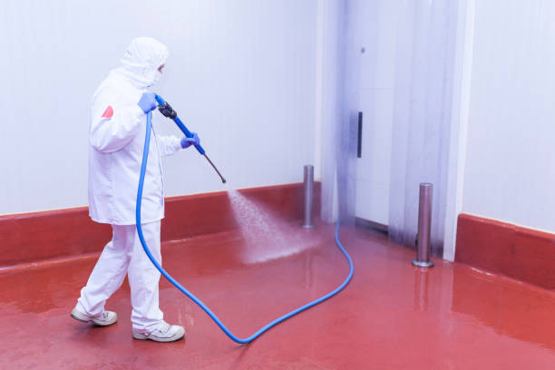 Playground Equipment Cleaning in Felton, DE