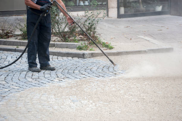 Best Spring Cleaning  in Felton, DE