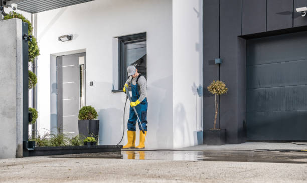 Professional  Pressure Washing Services in Felton, DE